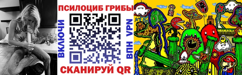 даркнет сайт  Курчалой  Галлюциногенные грибы мицелий 